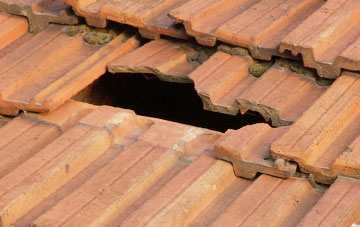 roof repair Hallgarth, County Durham